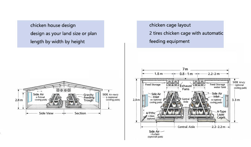 poultry house plans A type chicken cage