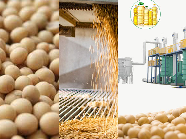 pre-treatment soya