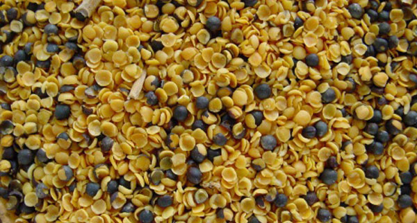 Rapeseed hull