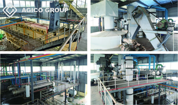 flaxseed oil plant case