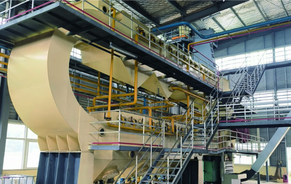 flaxseed oil plant image