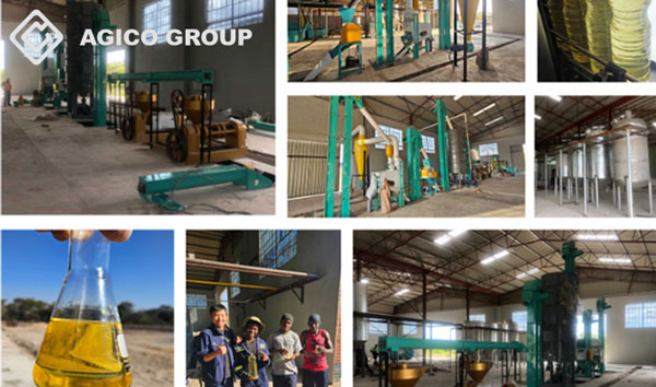 flaxseed oil plant project