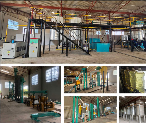 1-150tpd sunflower oil mill case