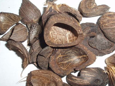 Palm Kernel Shell