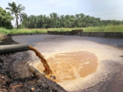 Palm Oil Mill Effluent