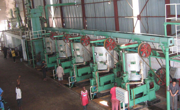 palm kernel oil mill image