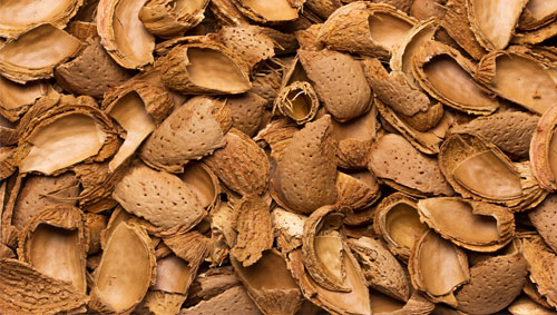 Almond Shells