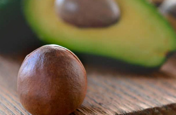 Avocado Seed