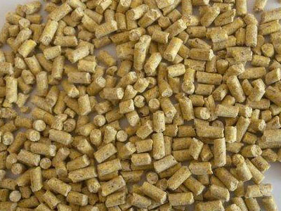 animal feed