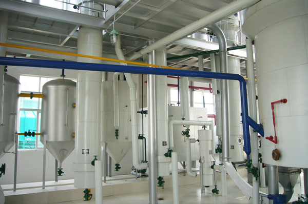 avocado oil plant case