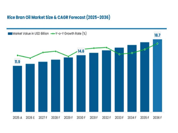 rice bran oil market