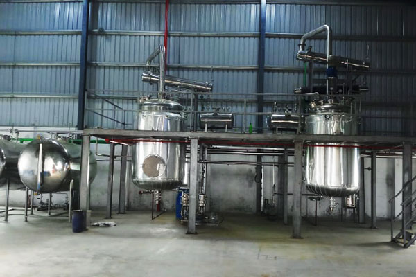 ginger oil plant case