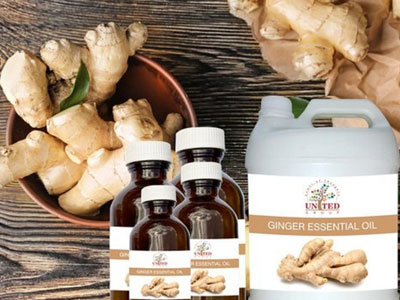 ginger oil in Pharmaceuticals