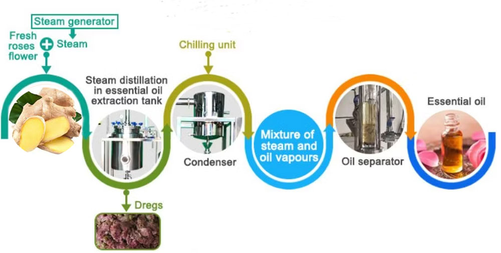 ginger oil making process